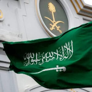 الدومين السعودي